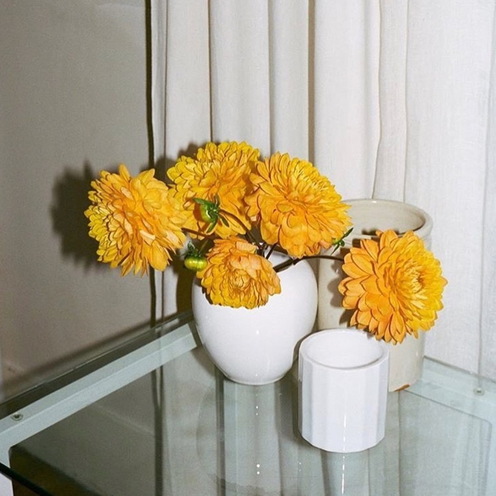 Meet your Posher, Luna